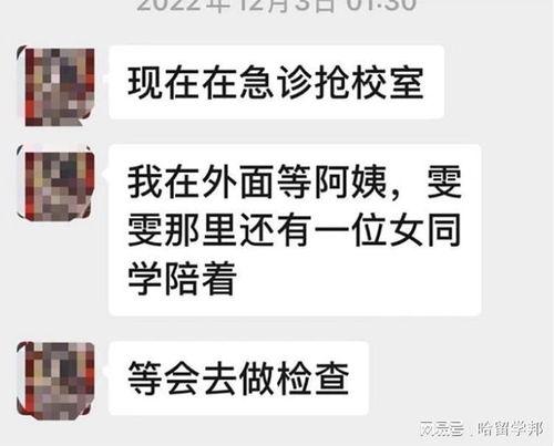 海报新闻爆料投稿,揭秘投稿背后的精彩故事