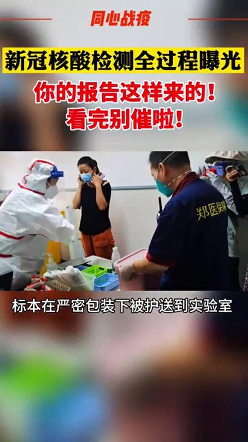 核酸爆料视频真实,真相与争议并存 第2张 核酸爆料视频真实,真相与争议并存 第2张